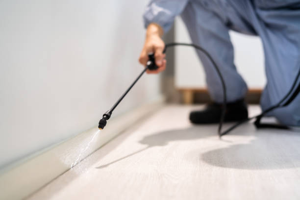 Licensed Termite Control service in Thomas, OK - Nex Pest Control