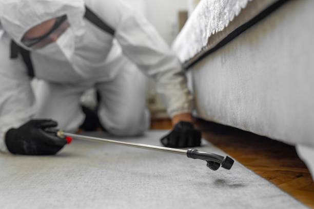 Professional Termite Control technician working in Thomas, OK