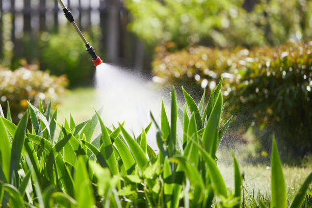 24/7 Emergency Termite Control experts in Thomas, OK
