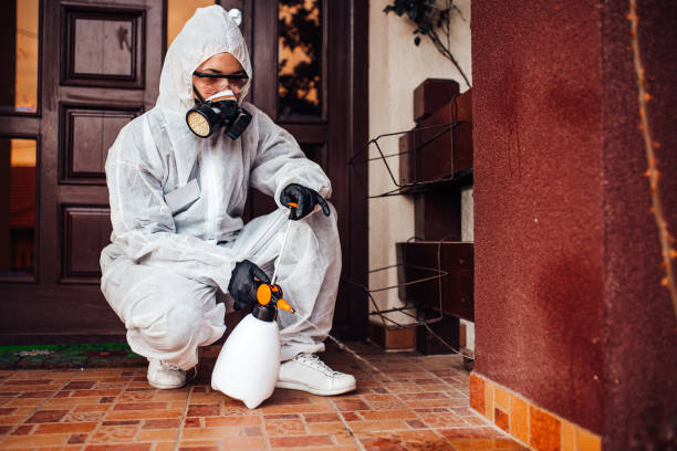 Reliable Termite Control contractor in Thomas, OK by Nex Pest Control