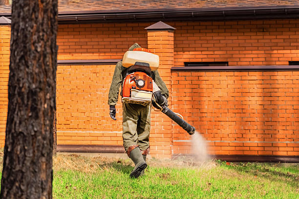 Top rated local Termite Control specialists in Thomas, OK